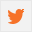 Condividi su Twitter