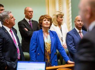 La donna è una femmina