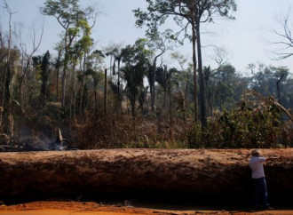 Amazzonia, voci contrastanti sulla deforestazione in atto