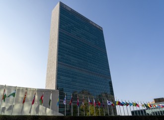 L’Onu esalta il vittimismo trans. Ma non la dice tutta