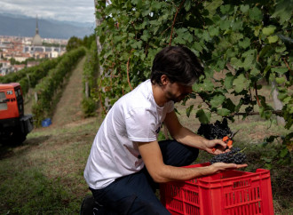 Vino vietato: l'Ue ci vuole senza libertà e senza gioia