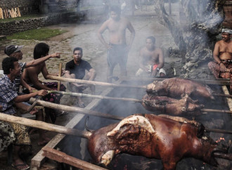 In Indonesia presi di mira i ristoranti non halal