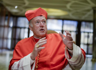 La summa di eresie del cardinal McElroy