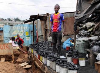 Africa, un debito ecologico con se stessa (e con la Cina)