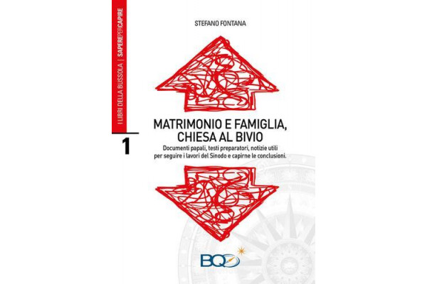 Matrimonio e famiglia, Chiesa al bivio