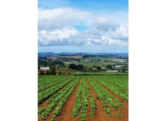 agricoltura agricoltura