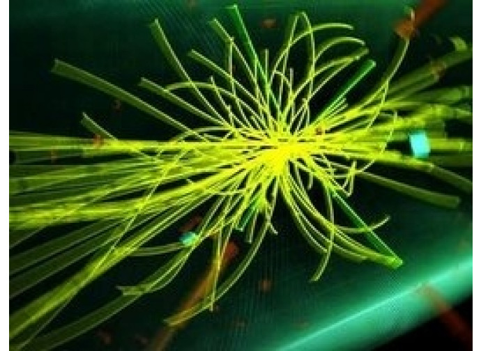 Il Bosone di Higgs Il Bosone di Higgs