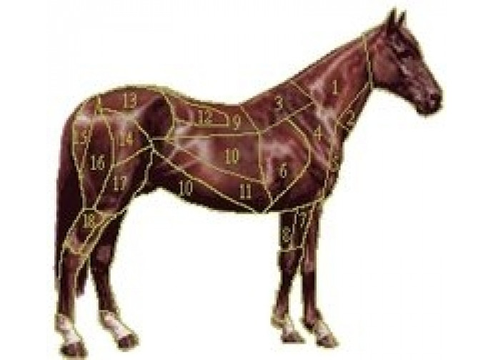 Horsegate Horsegate