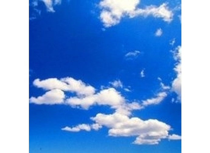 Cielo Cielo