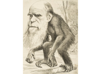 Il ritorno dell’uomo scimmia: un’ideologia subdola
