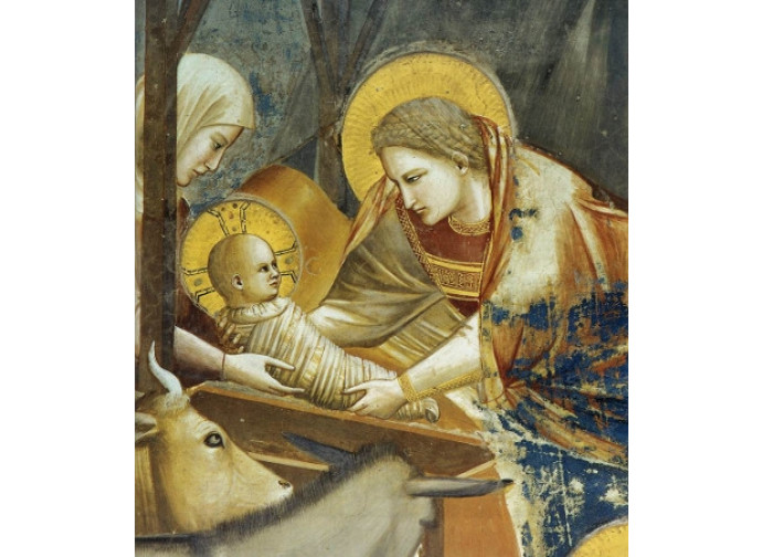 Giotto, Natività