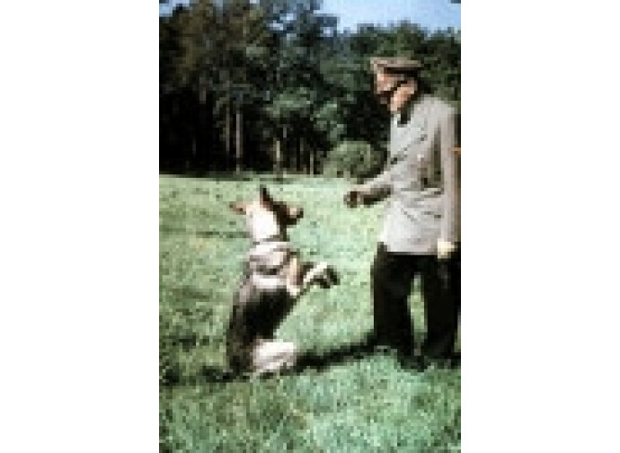 Hitler con la sua fedele cagna Hitler con la sua fedele cagna