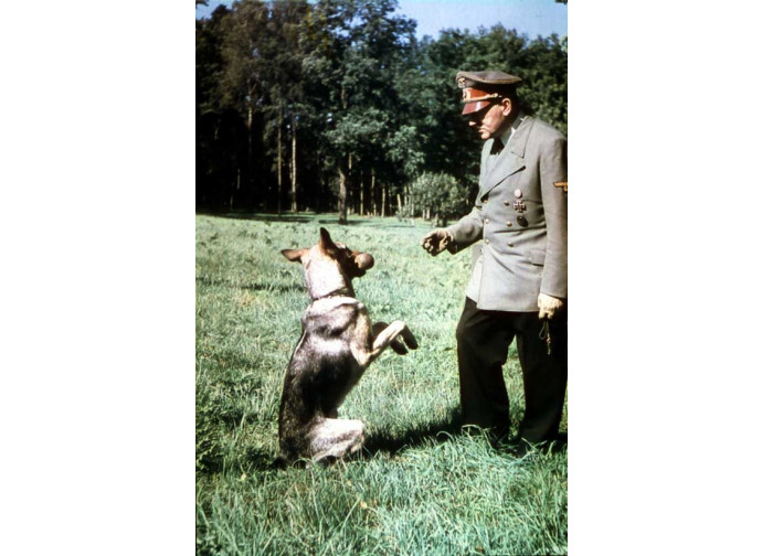 Hitler e la sua cagna Blondi Hitler e la sua cagna Blondi