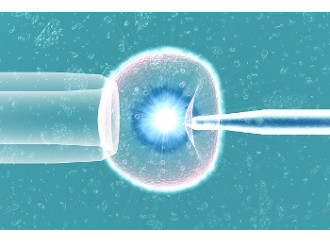 Tre genitori biologici: bambini Ogm nel Regno Unito