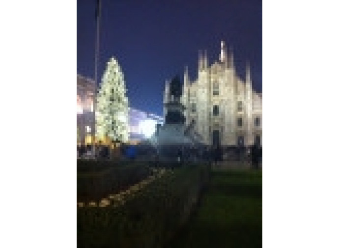 L'albero e il Duomo di Milano