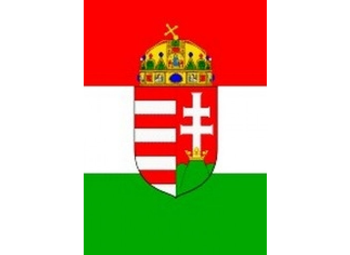 La bandiera dell'Ungheria La bandiera dell'Ungheria
