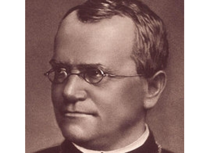 Mendel Mendel