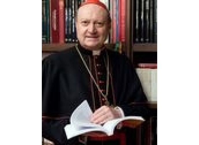 Il cardinale Ravasi Il cardinale Ravasi