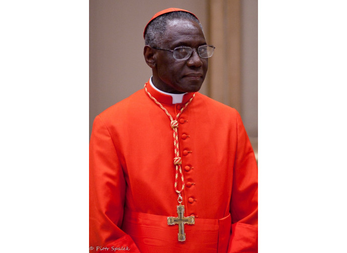 Il cardinal Sarah Il cardinal Sarah