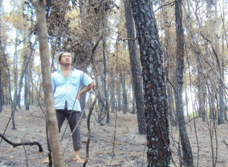 Le autorità di Hué, in Vietnam, incendiano le foreste per appropriarsi delle terre del monastero di Thien An