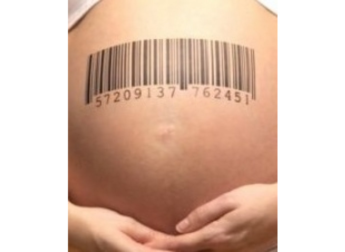 A Milano i giudici hanno legalizzato l'utero in affitto A Milano i giudici hanno legalizzato l'utero in affitto