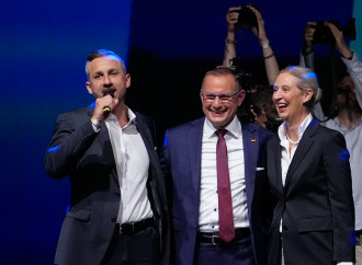 Germania: la paura del nazismo, la realtà di un partito controcorrente