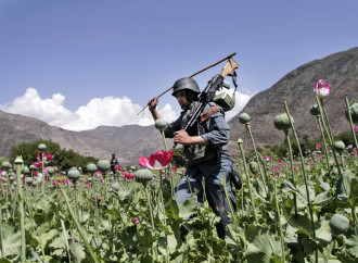La guerra segreta dell'oppio in Afghanistan e il crollo della produzione