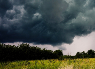 Il piacere figlio d’affanno non è gioia vera