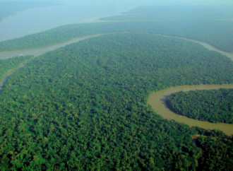 La Amazonia no es un “pulmón verde” y mucho menos un paraíso