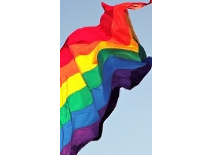 Bandiera gay Bandiera gay