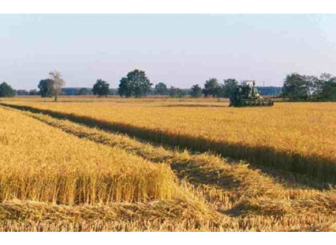 Agricoltura tradizionale o biologica? La pace è possibile Agricoltura tradizionale o biologica? La pace è possibile