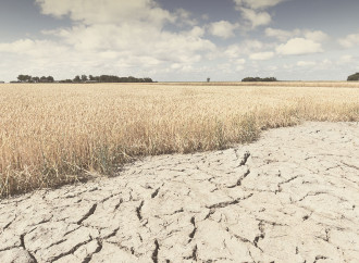 Cambiamento climatico e biodiversità