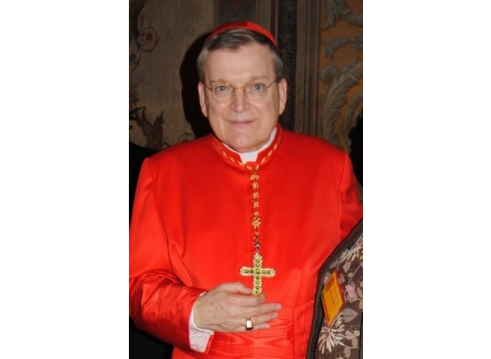 Il cardinale Burke Il cardinale Burke