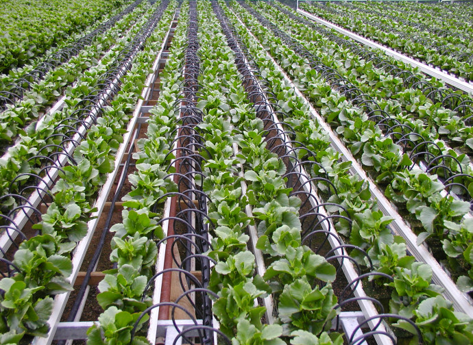 Nuove tecniche agricole Nuove tecniche agricole
