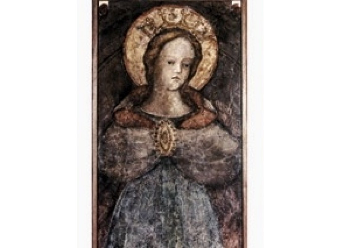L'effigie di Maria nel Duomo di Faenza L'effigie di Maria nel Duomo di Faenza