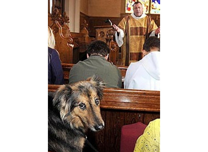 Cane in chiesa Cane in chiesa