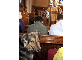 Milano, liberi cani in libere chiese