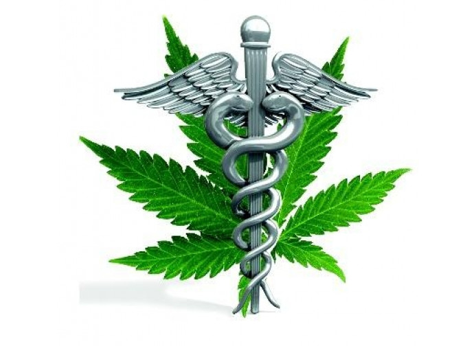 Cannabis terapeutica Cannabis terapeutica