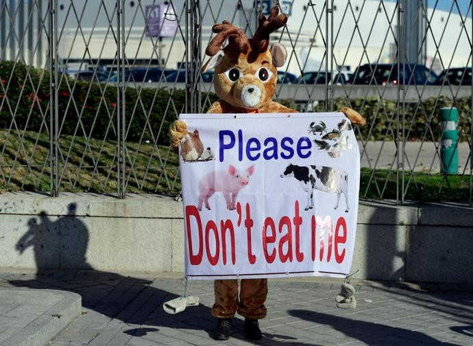 Manifestazione di vegani alla Cop25 Manifestazione di vegani alla Cop25