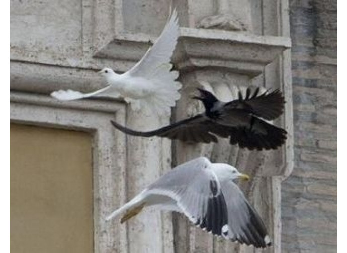 Corvi in Vaticano Corvi in Vaticano