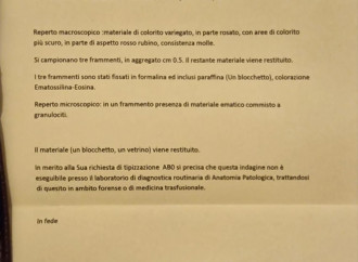 Il probabile miracolo eucaristico che imbarazza la Diocesi