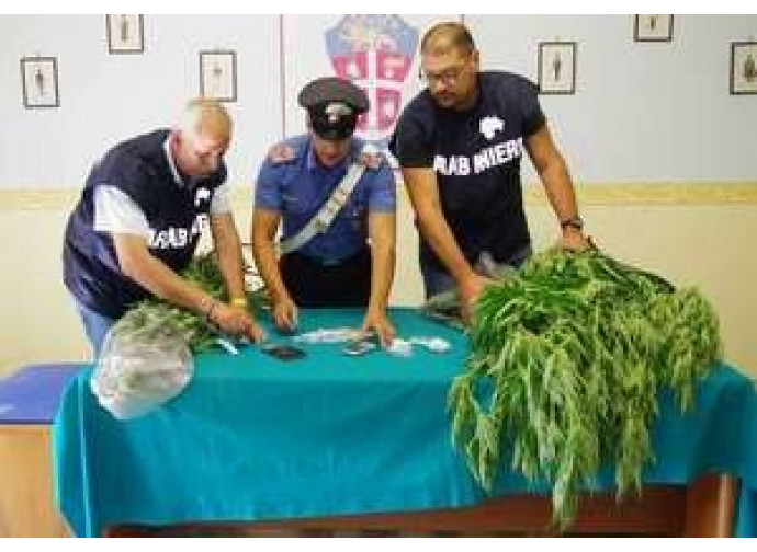 Operazione antidroga Operazione antidroga