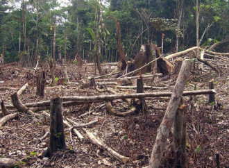 Ecocidio, una parola da evitare