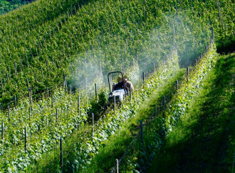 Agricoltura bio, c’è un substrato di pseudoscienza