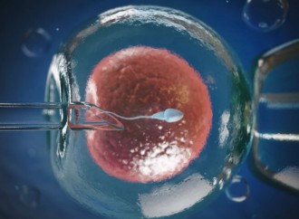 Spagna, fecondazione artificiale anche per i trans