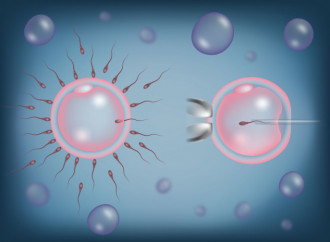 Se la fecondazione artificiale diventa addirittura il piano A