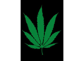 "Libera marijuana" 
per fini medici