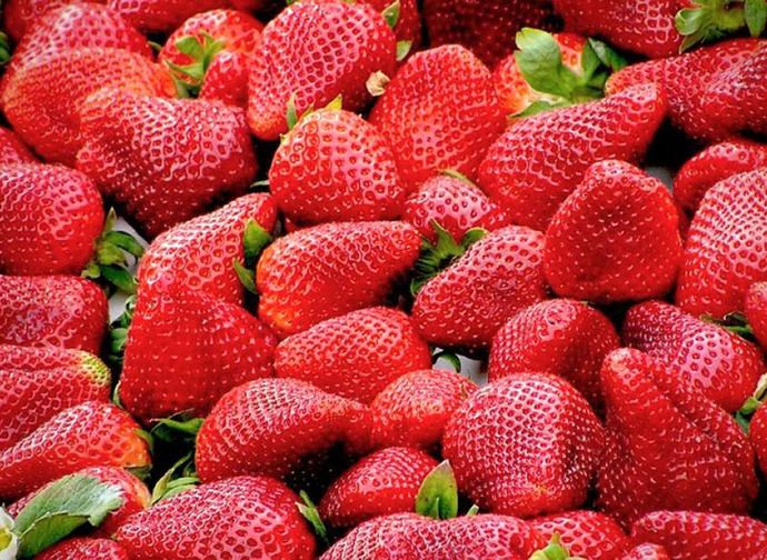 Fragole Fragole
