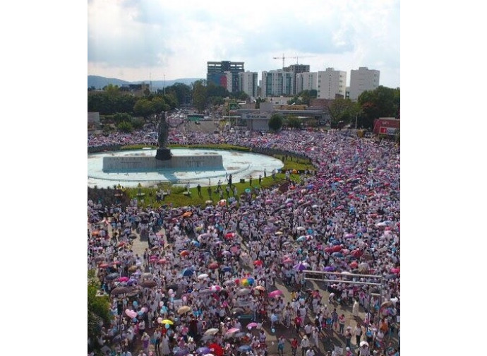 La marcha por la familia