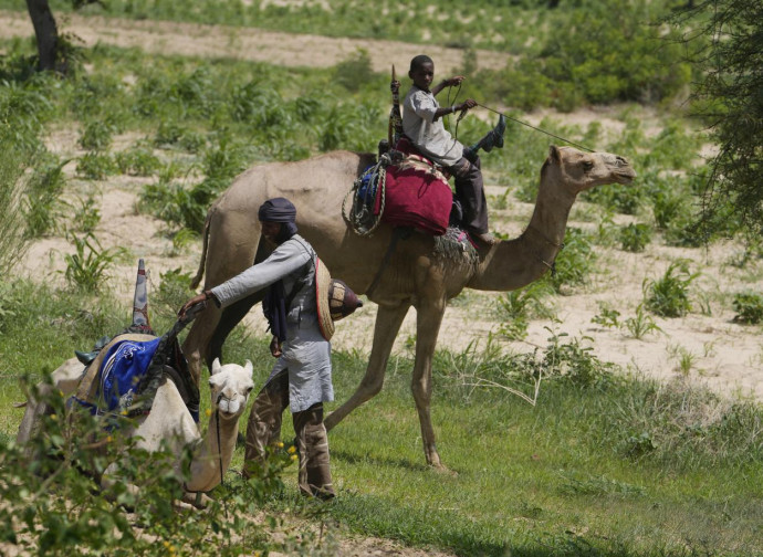 Fulani Fulani